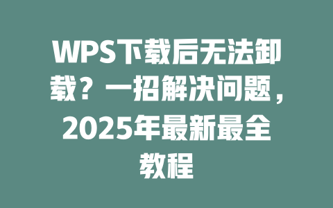 WPS下载后无法卸载？一招解决问题，2025年最新最全教程 二