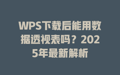 WPS下载后能用数据透视表吗？2025年最新解析 二