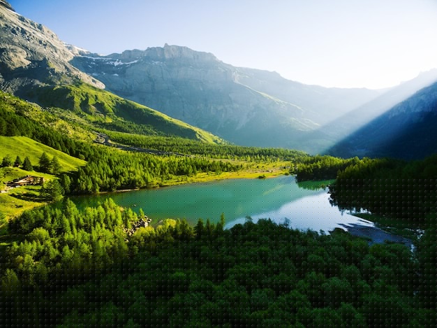 WPS下载支持演示动画吗？2025年功能详解 一