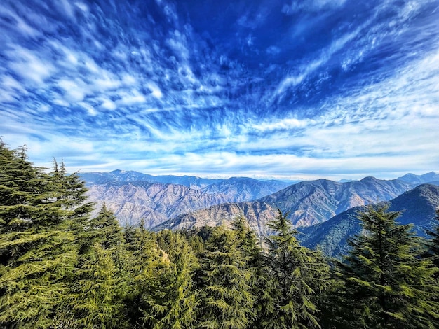 WPS下载:3步揭秘是否支持公式编辑器在2025年 一