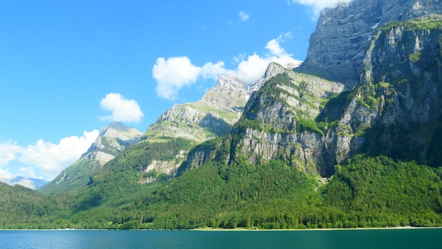 WPS下载后无法打印?2025年一招解决打印难题! 一