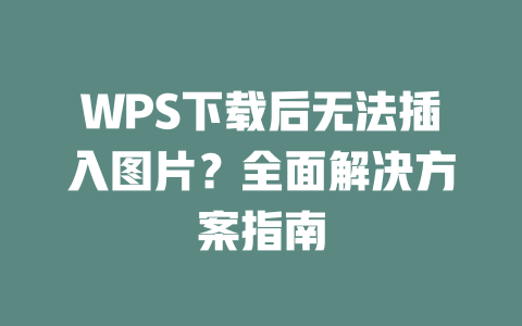 WPS下载后无法插入图片?全面解决方案指南 二