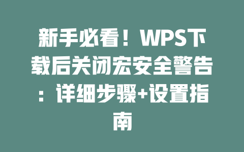 新手必看!WPS下载后关闭宏安全警告:详细步骤+设置指南 二
