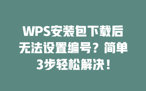 WPS安装包下载后无法设置编号?简单3步轻松解决! 二