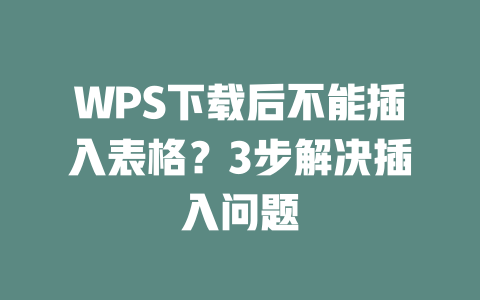 WPS下载后不能插入表格?3步解决插入问题 二
