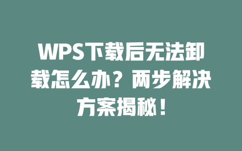 WPS下载后无法卸载怎么办？两步解决方案揭秘！ 二
