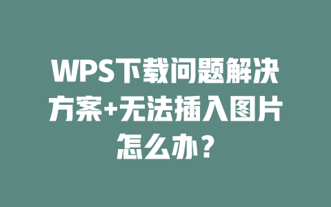 WPS下载问题解决方案+无法插入图片怎么办？ 二
