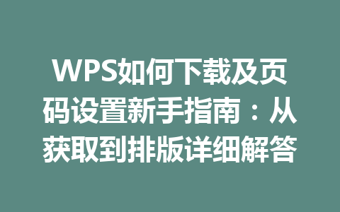 WPS如何下载及页码设置新手指南:从获取到排版详细解答 二