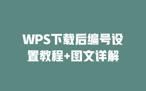 WPS下载后编号设置教程+图文详解 二